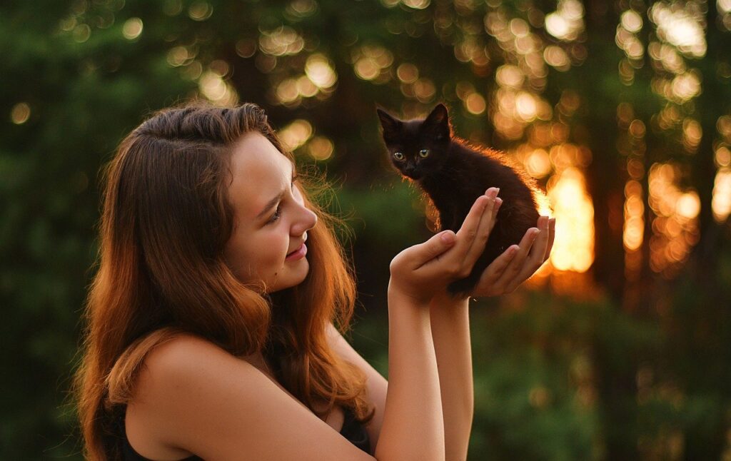 Traveling with Pets: Using JetBlackTransportation.com forAirport Transfer with Pets 3 Airport Transfer with Pets